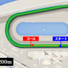 【エリザベス女王杯予想】京都芝2200mのコース攻略・見解